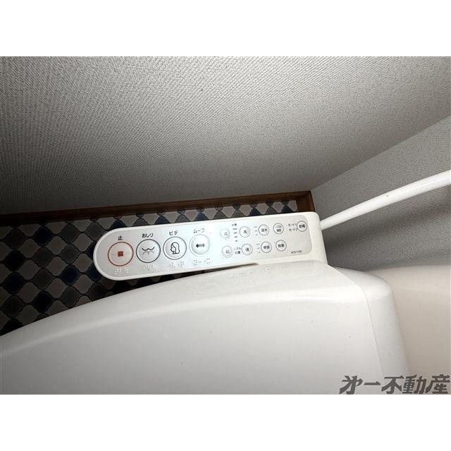 エバーグリーンTｓ・（203） 部屋画像