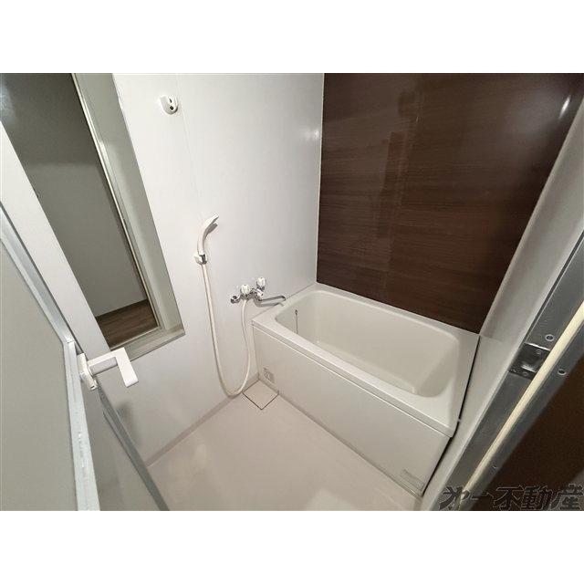 ゾーナヴェルデ（302） 部屋画像