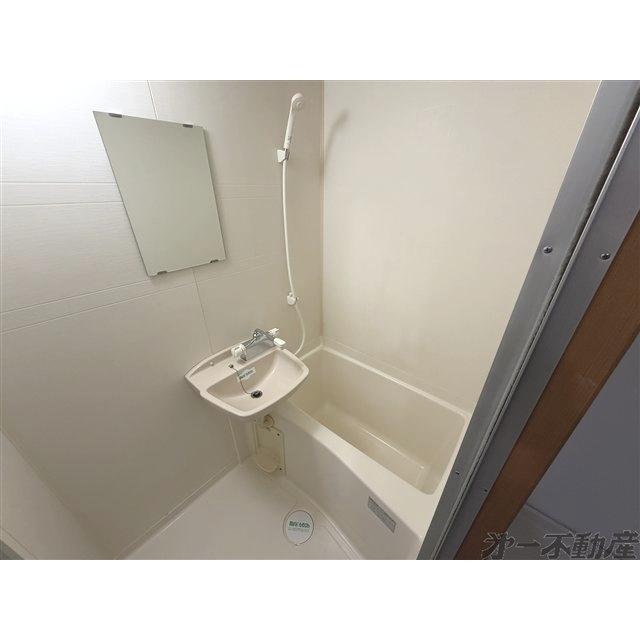 チェルシーズハウス（205） 部屋画像