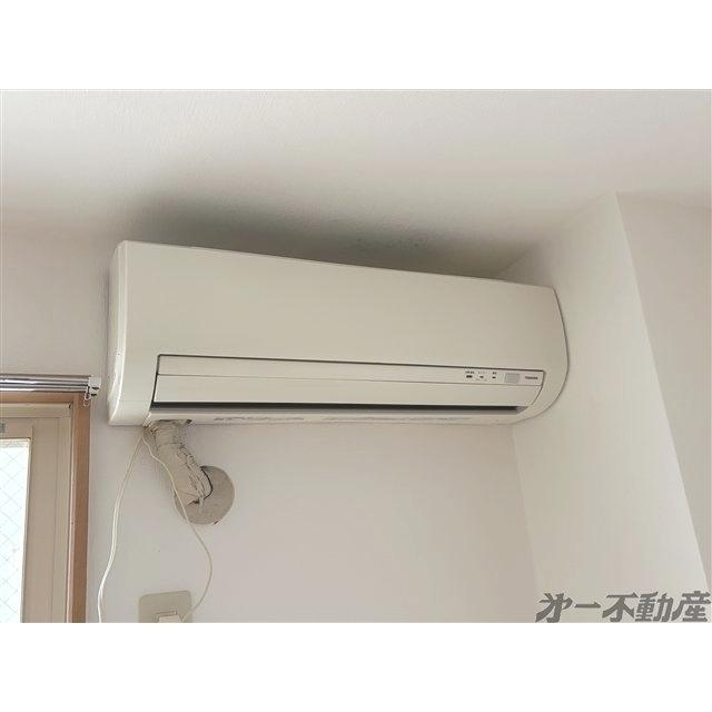 チェルシーズハウス（205） 部屋画像