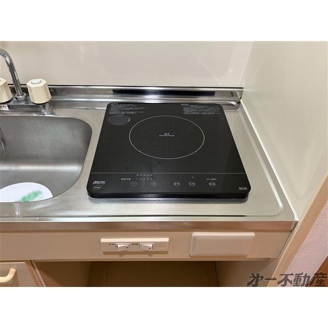 チェルシーズハウス（205） 部屋画像