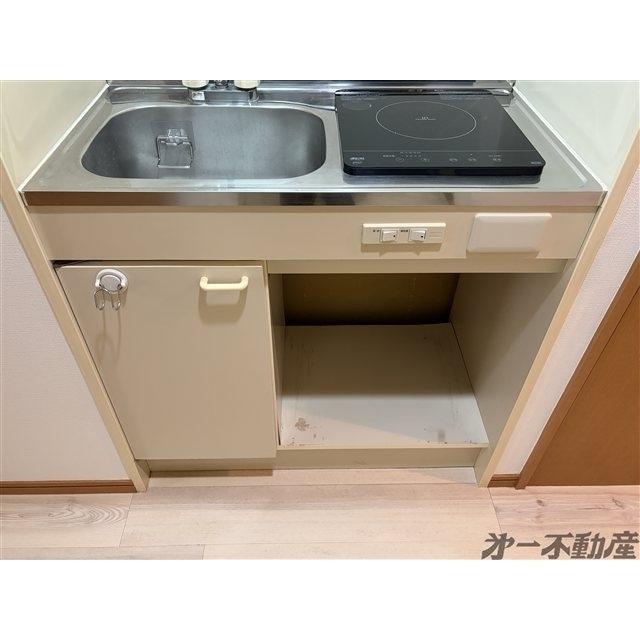 チェルシーズハウス（205） 部屋画像