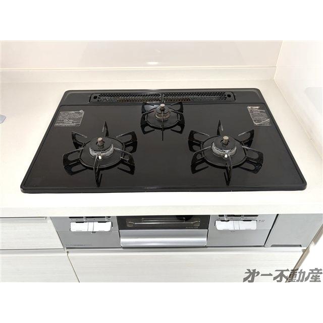 ハウス安東・（101） 部屋画像