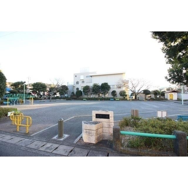 菖蒲公園：17m