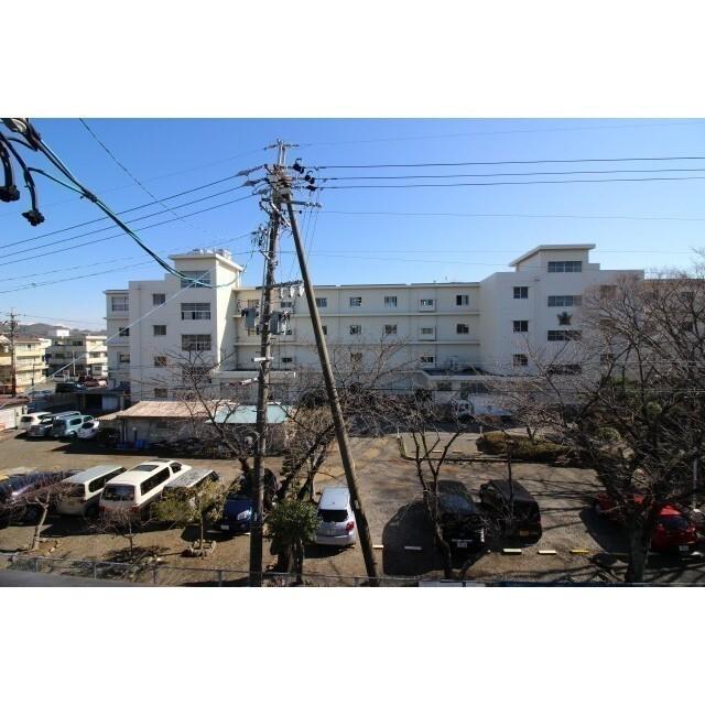 静岡市立南部小学校：14m