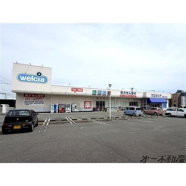 ウエルシア静岡下川原店：110m
