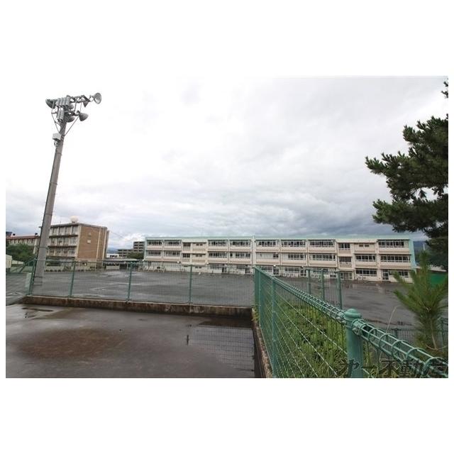 静岡市立清水有度第一小学校：350m