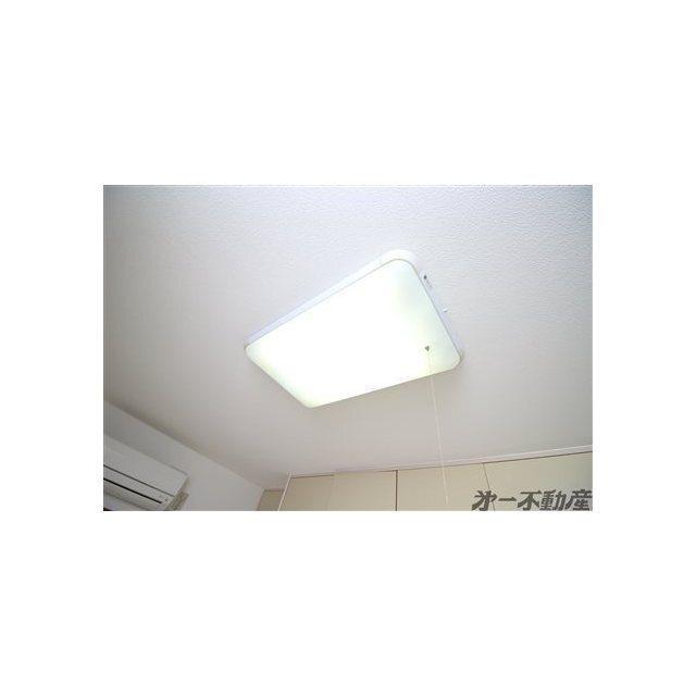 ニストン南町（206） 部屋画像