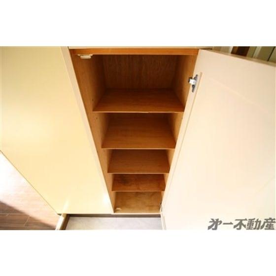 ニストン南町（506） 部屋画像
