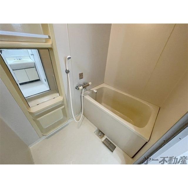 セジュールオキツA・（202） 部屋画像