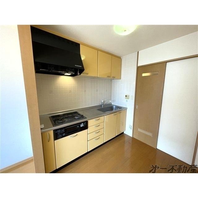 ベッラヴィスタ（303） 部屋画像