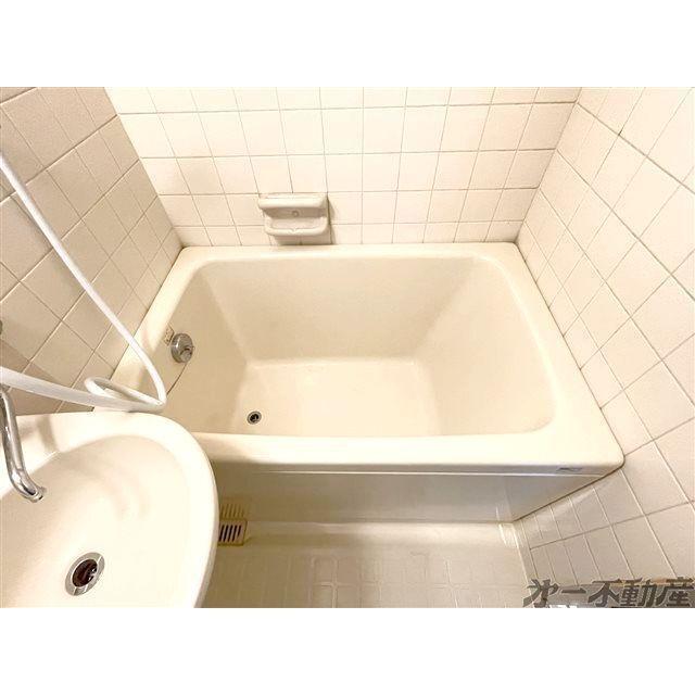 栄エーワイビジデンス（203） 部屋画像
