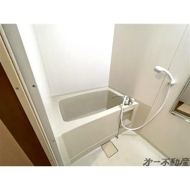 ドミールＵ（203） 部屋画像