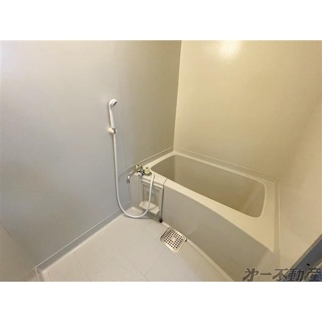 メゾンこがねC棟（205） 部屋画像
