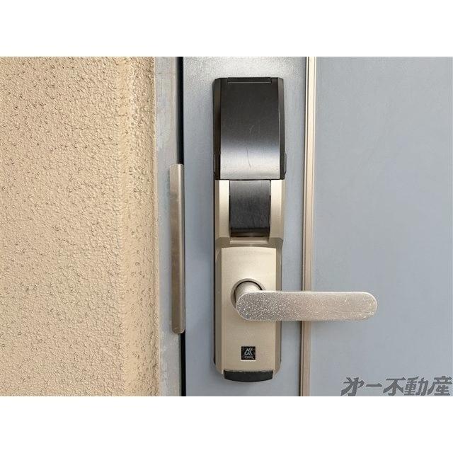 テテアテテ（203） 部屋画像