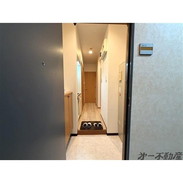 チェルシーズハウス（303） 部屋画像