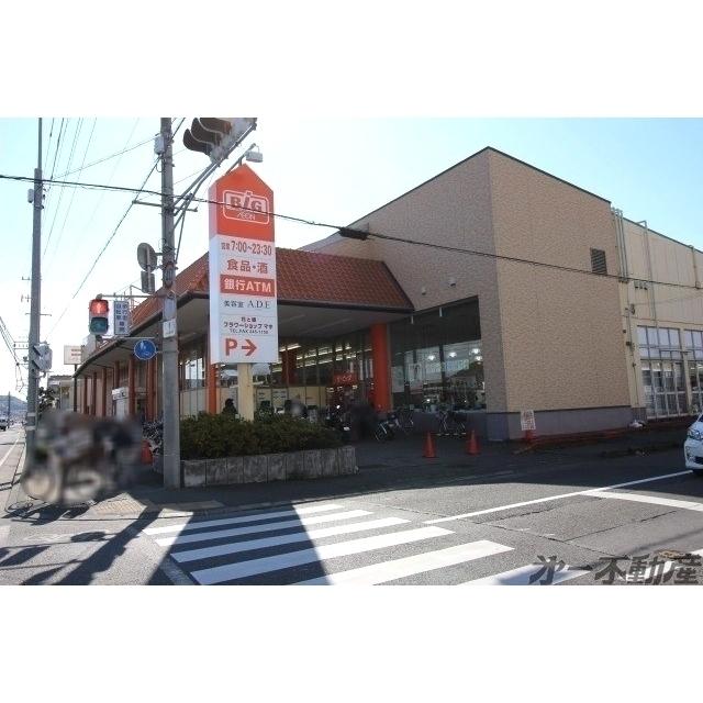 ザ・ビッグ静岡城北店：550m