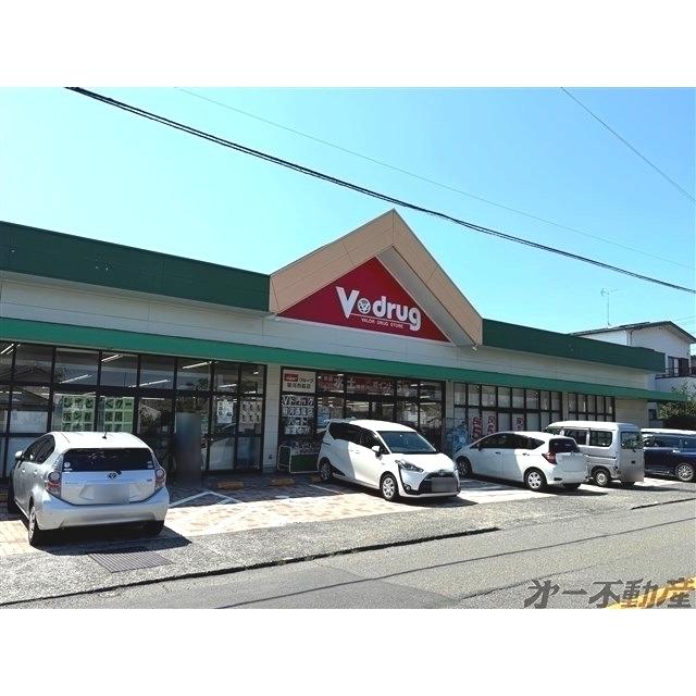 Ｖ・drug 駿河西脇店：550m