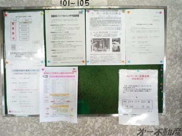 シャンボール本通　103　1234000550 その他