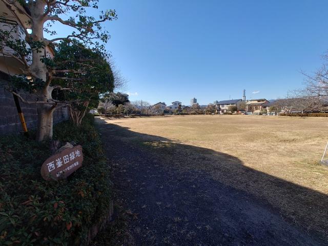 公園