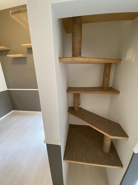 シャノワール宗像 部屋画像