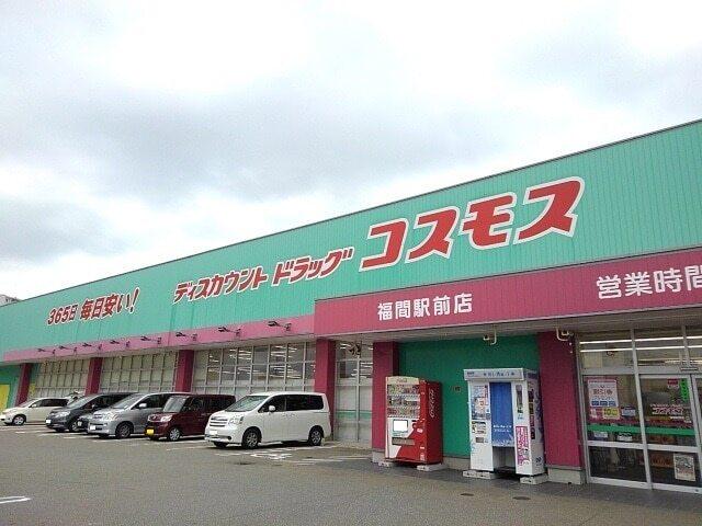 コスモス：700m
