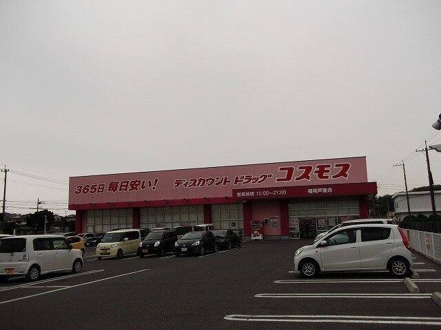 コスモス：400m