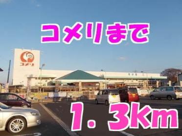 コメリ：1300m