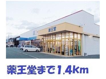 薬王堂水沢桜屋敷店：1400m