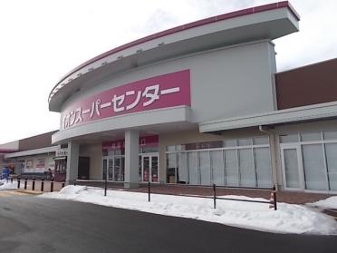 イオンスーパーセンター桜屋敷店：1400m