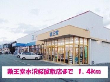 薬王堂水沢桜屋敷店：1400m