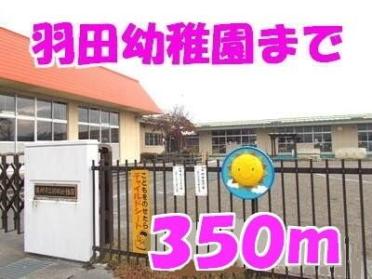 羽田幼稚園：350m