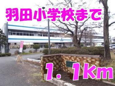 羽田小学校：1100m