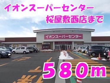 イオンスーパーセンター桜屋敷西：580m