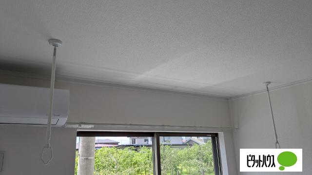 grand parace(グランドパレス)奥州Ⅰ（103） その他
