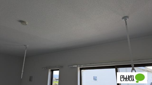 Sun field Ｃ（205） その他