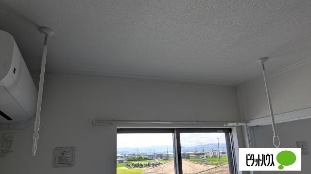 Sun field Ｄ（201） その他