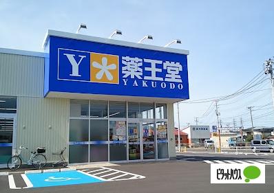 薬王堂水沢日高店：2031m