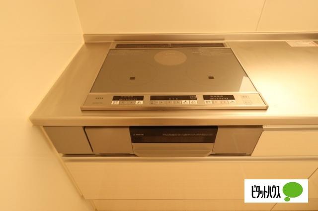 Ｄ−ｒｏｏｍ姉体Ⅱ（105） キッチン