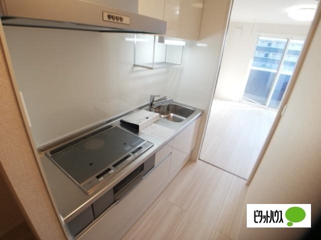 Ｄ−ｒｏｏｍ姉体Ⅱ（203） キッチン