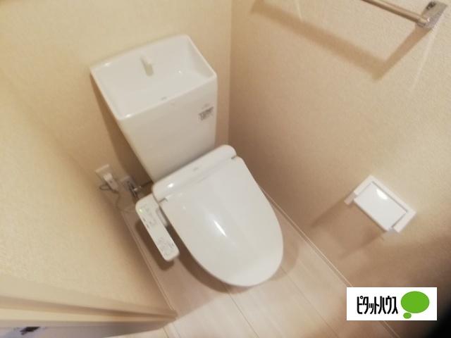 Ｄ−ｒｏｏｍ姉体Ⅱ（203） トイレ