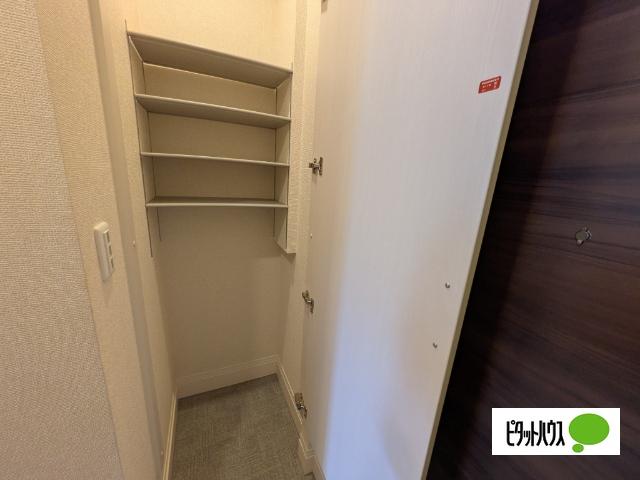 Ｄ−ｒｏｏｍ姉体Ⅱ（103） その他