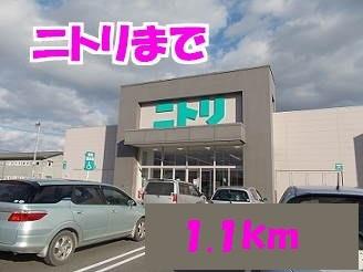 ニトリ：1100m