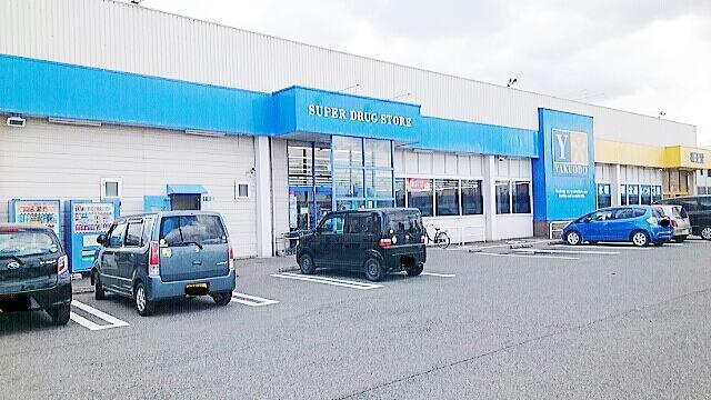 薬王堂　江刺店：1100m