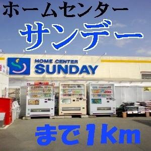 サンデー：1000m