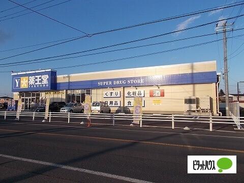 薬王堂水沢町屋敷店：811m