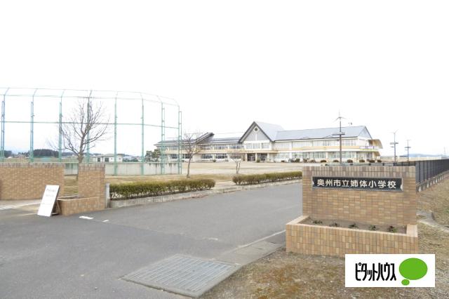 奥州市立姉体小学校：2460m