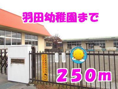 羽田幼稚園：250m