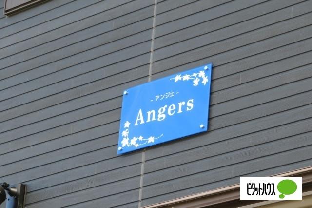 Angers（207） その他