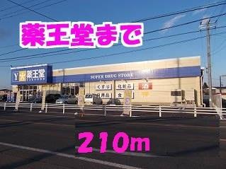 薬王堂：210m